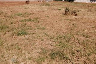 0 Bedroom Property for Sale in Bendor Limpopo