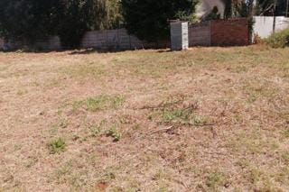 0 Bedroom Property for Sale in Bendor Limpopo
