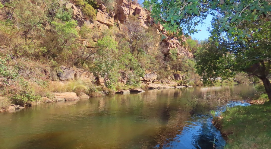 5 Bedroom Property for Sale in Vaalwater Limpopo