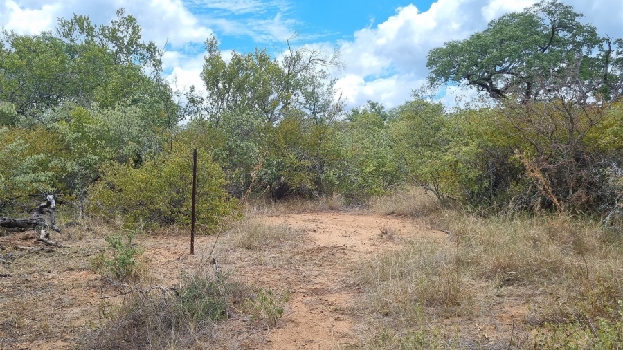 0 Bedroom Property for Sale in Raptors View Wildlife Estate Limpopo