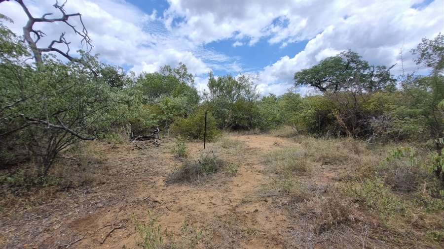 0 Bedroom Property for Sale in Raptors View Wildlife Estate Limpopo