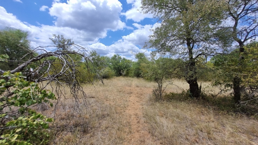 0 Bedroom Property for Sale in Raptors View Wildlife Estate Limpopo