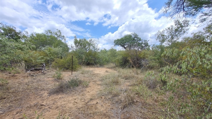 0 Bedroom Property for Sale in Raptors View Wildlife Estate Limpopo