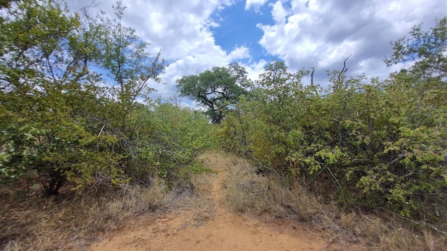 0 Bedroom Property for Sale in Raptors View Wildlife Estate Limpopo