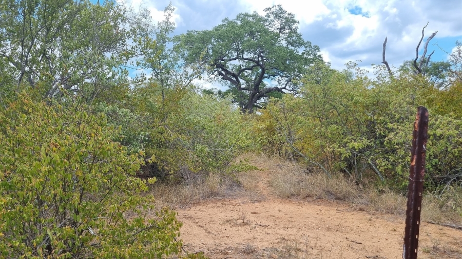 0 Bedroom Property for Sale in Raptors View Wildlife Estate Limpopo