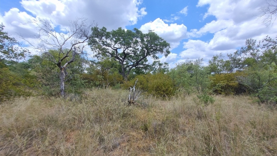0 Bedroom Property for Sale in Raptors View Wildlife Estate Limpopo