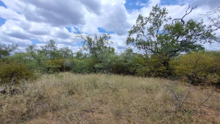 0 Bedroom Property for Sale in Raptors View Wildlife Estate Limpopo