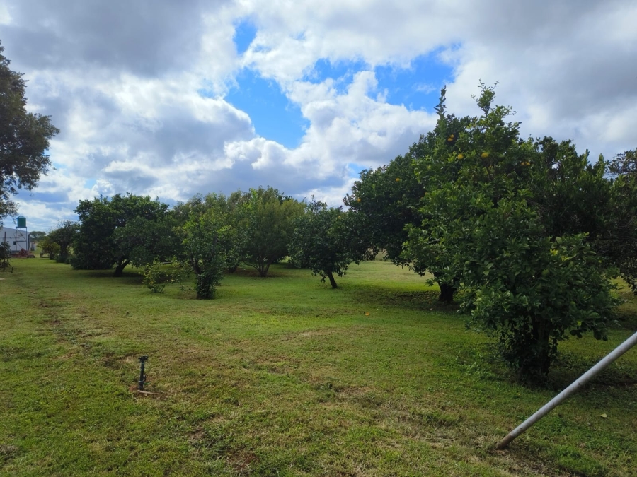 4 Bedroom Property for Sale in Bela Bela Limpopo