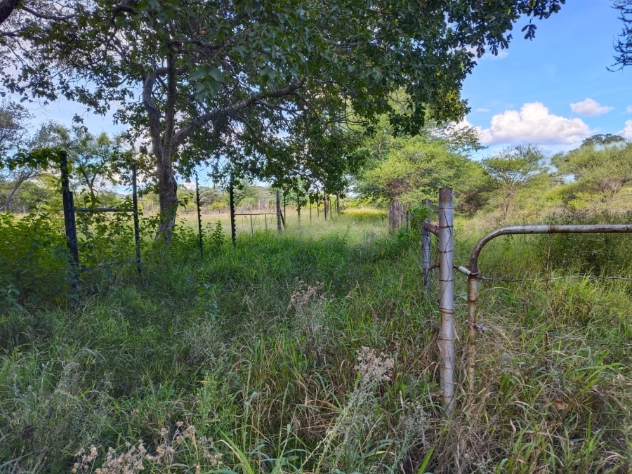 9 Bedroom Property for Sale in Bela Bela Limpopo