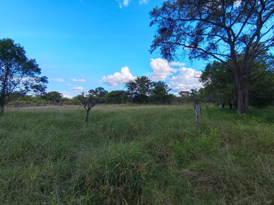 9 Bedroom Property for Sale in Bela Bela Limpopo