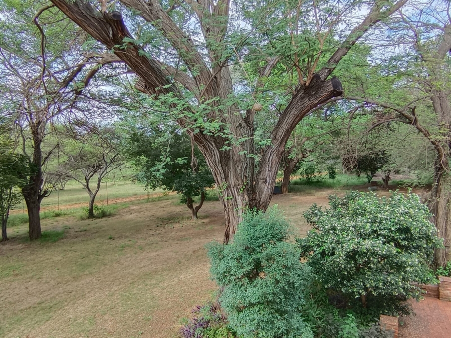 9 Bedroom Property for Sale in Bela Bela Limpopo