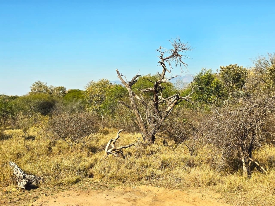 3 Bedroom Property for Sale in Hoedspruit Limpopo