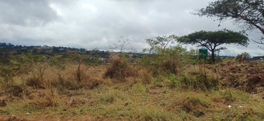Commercial Property for Sale in Elim Limpopo