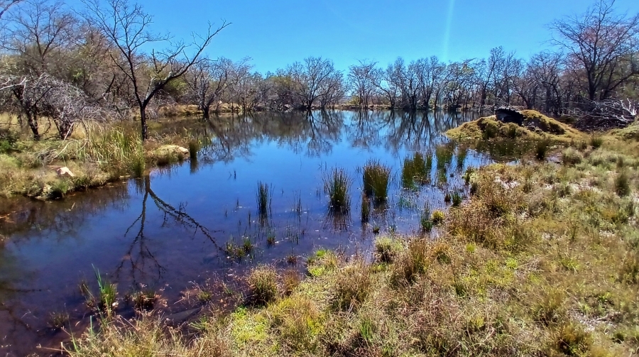 10 Bedroom Property for Sale in Vaalwater Limpopo