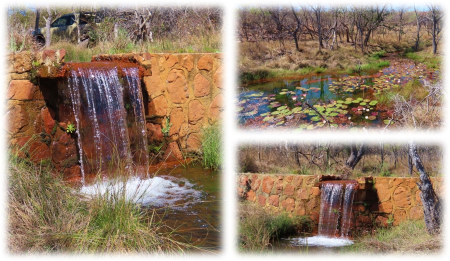 10 Bedroom Property for Sale in Vaalwater Limpopo