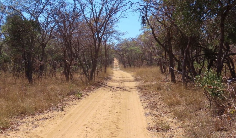 10 Bedroom Property for Sale in Vaalwater Limpopo