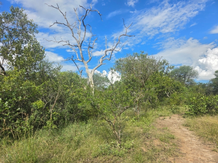 0 Bedroom Property for Sale in Moditlo Wildlife Estate Limpopo