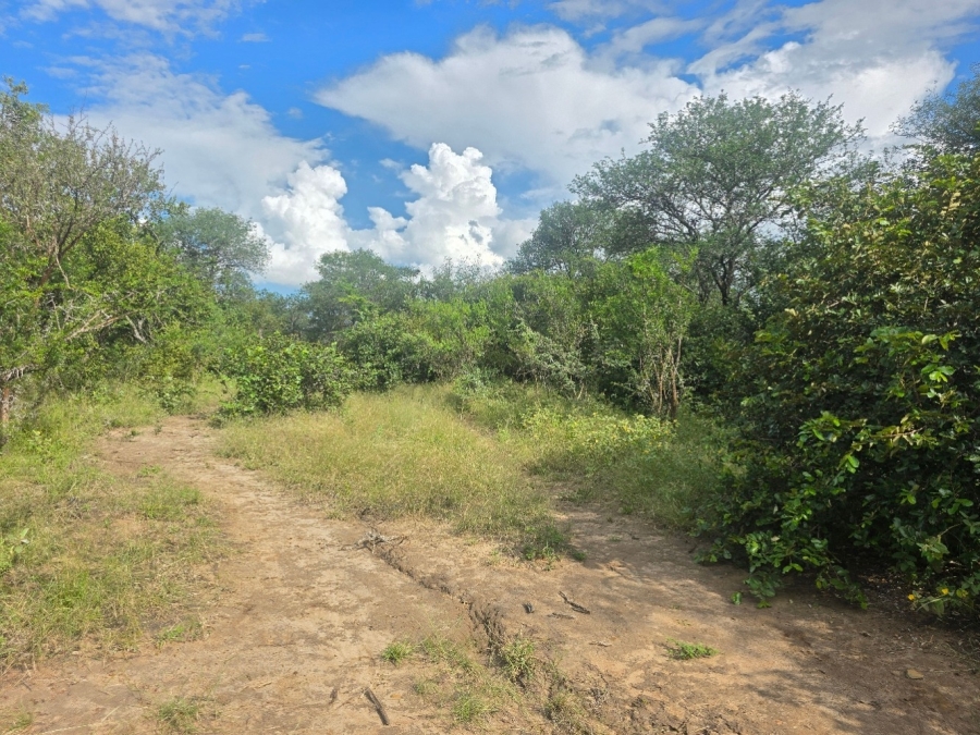 0 Bedroom Property for Sale in Moditlo Wildlife Estate Limpopo