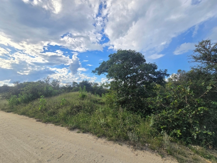 0 Bedroom Property for Sale in Moditlo Wildlife Estate Limpopo
