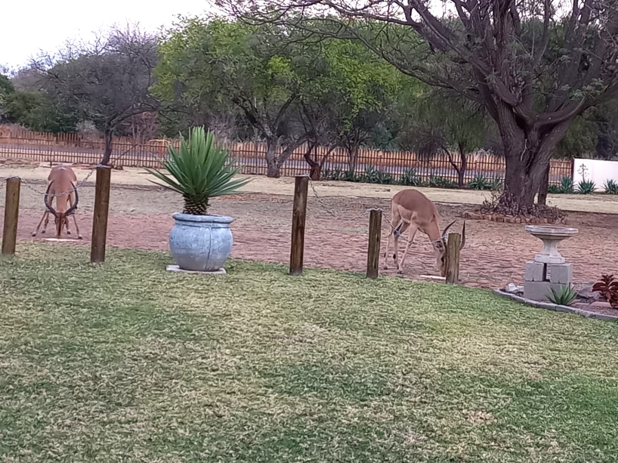 1 Bedroom Property for Sale in Mookgopong Rural Limpopo