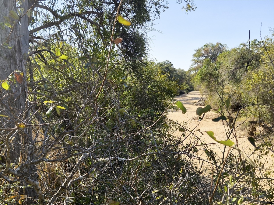 0 Bedroom Property for Sale in Moditlo Wildlife Estate Limpopo