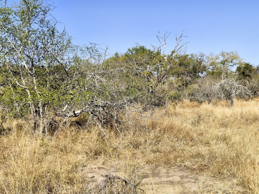 0 Bedroom Property for Sale in Moditlo Wildlife Estate Limpopo