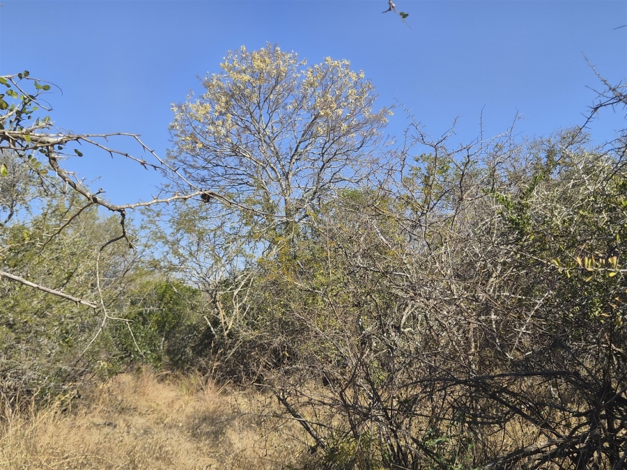 0 Bedroom Property for Sale in Moditlo Wildlife Estate Limpopo