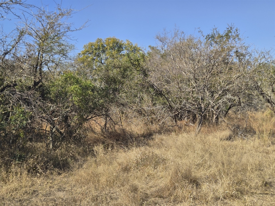 0 Bedroom Property for Sale in Moditlo Wildlife Estate Limpopo