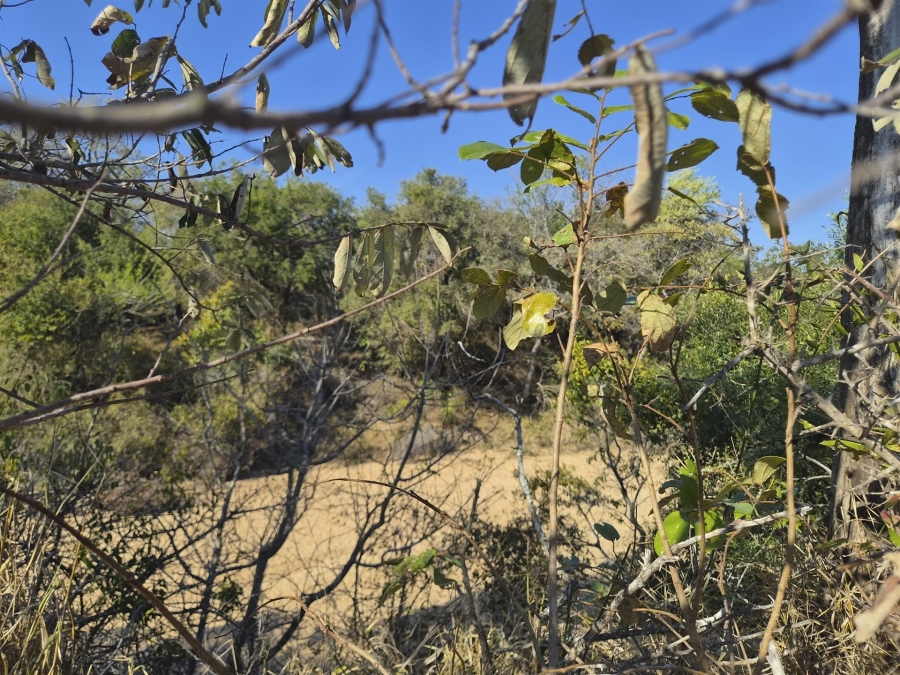 0 Bedroom Property for Sale in Moditlo Wildlife Estate Limpopo
