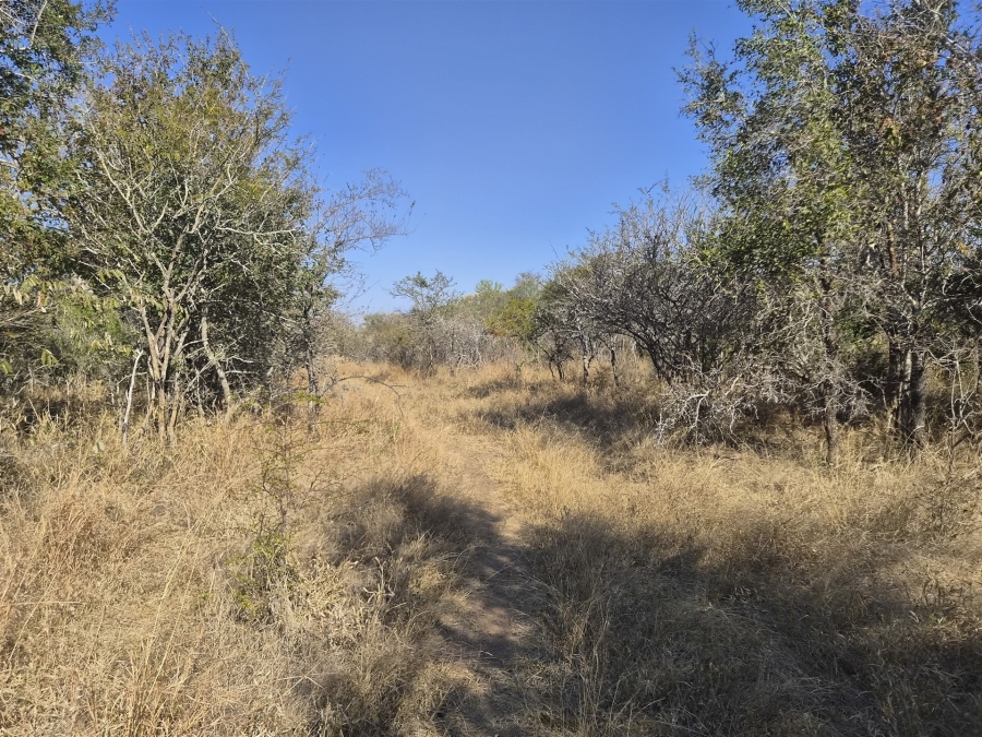 0 Bedroom Property for Sale in Moditlo Wildlife Estate Limpopo