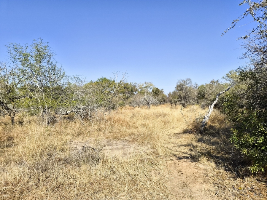0 Bedroom Property for Sale in Moditlo Wildlife Estate Limpopo