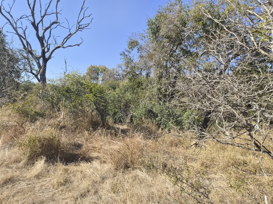 0 Bedroom Property for Sale in Moditlo Wildlife Estate Limpopo