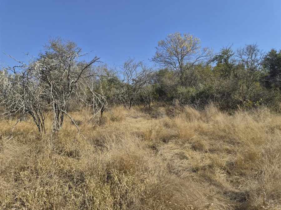 0 Bedroom Property for Sale in Moditlo Wildlife Estate Limpopo
