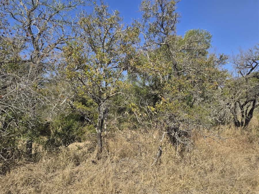 0 Bedroom Property for Sale in Moditlo Wildlife Estate Limpopo