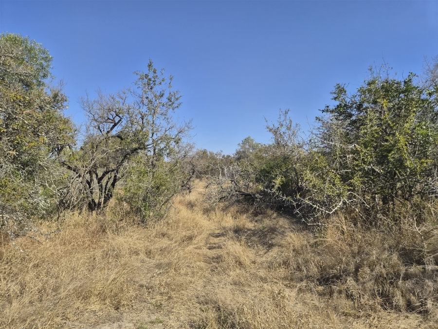 0 Bedroom Property for Sale in Moditlo Wildlife Estate Limpopo