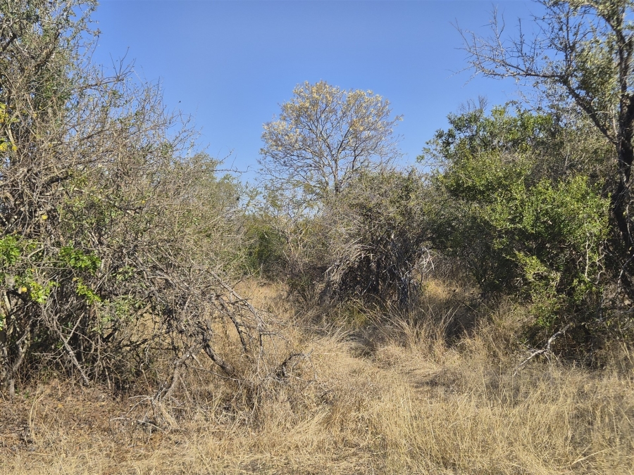 0 Bedroom Property for Sale in Moditlo Wildlife Estate Limpopo