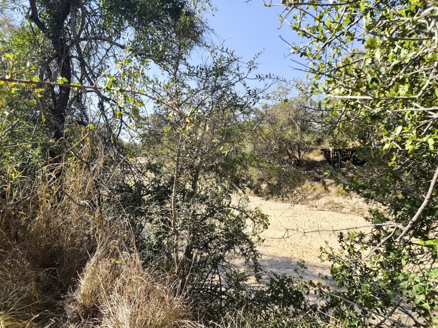 0 Bedroom Property for Sale in Moditlo Wildlife Estate Limpopo