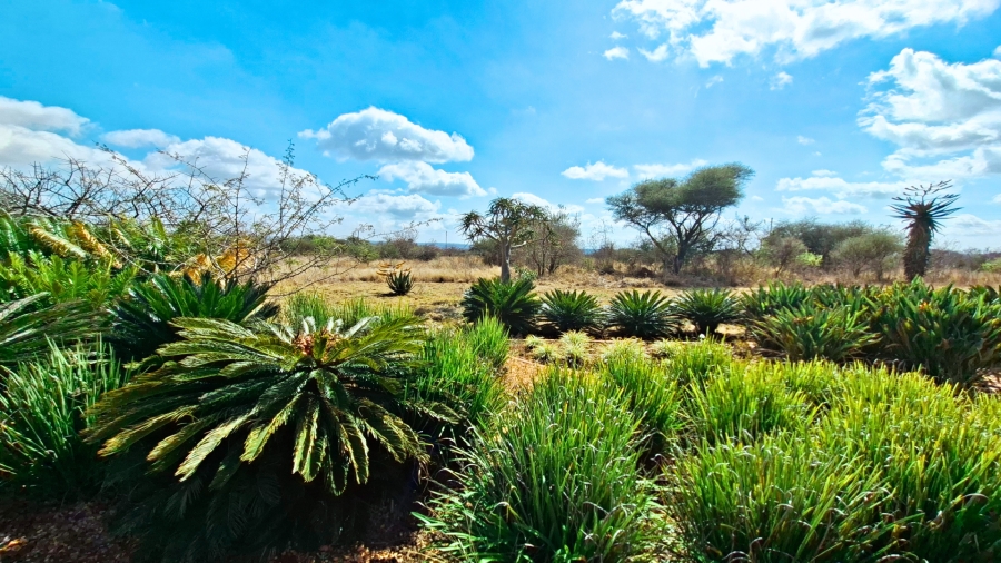Commercial Property for Sale in Myngenoegen A H Limpopo