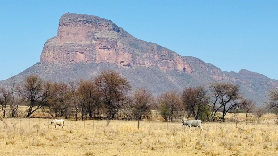 2 Bedroom Property for Sale in Sterkrivier Limpopo