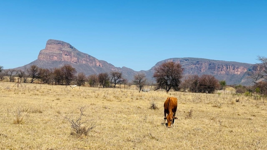 2 Bedroom Property for Sale in Sterkrivier Limpopo