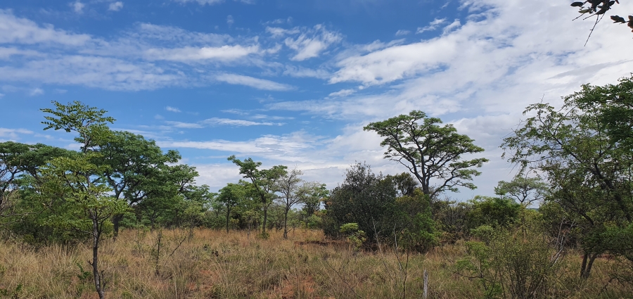 0 Bedroom Property for Sale in Nylsoog Wind and Eco Estate Limpopo