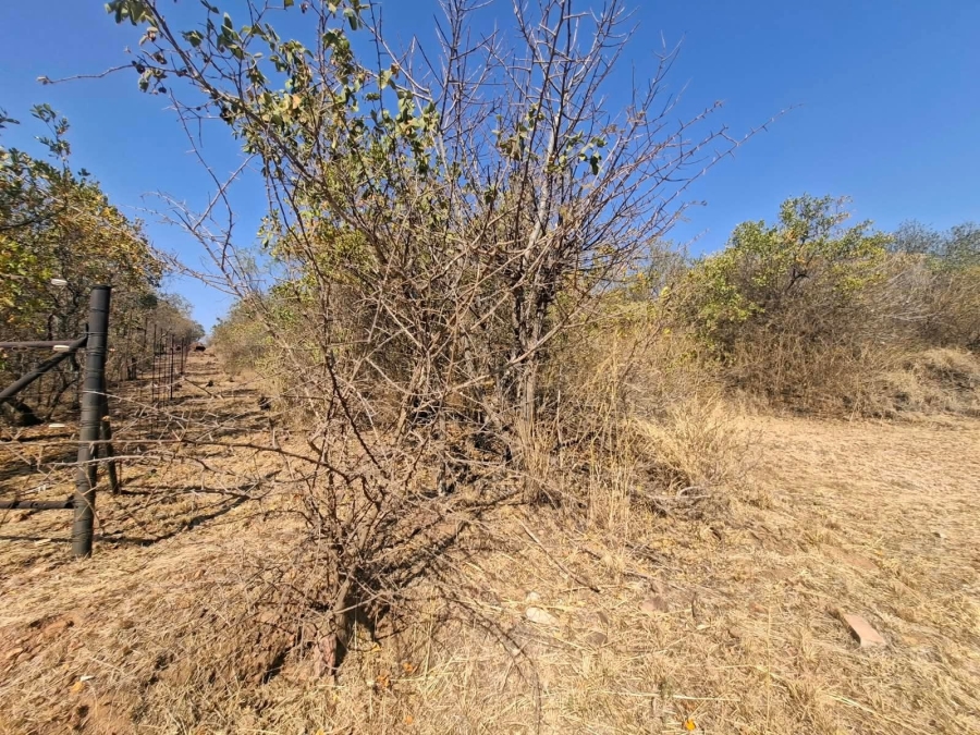 0 Bedroom Property for Sale in Bela Bela Limpopo