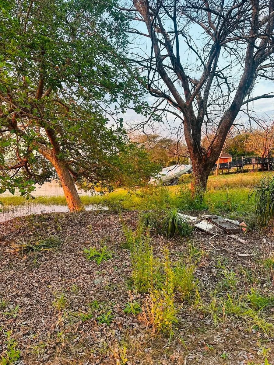 1 Bedroom Property for Sale in Budeli Limpopo