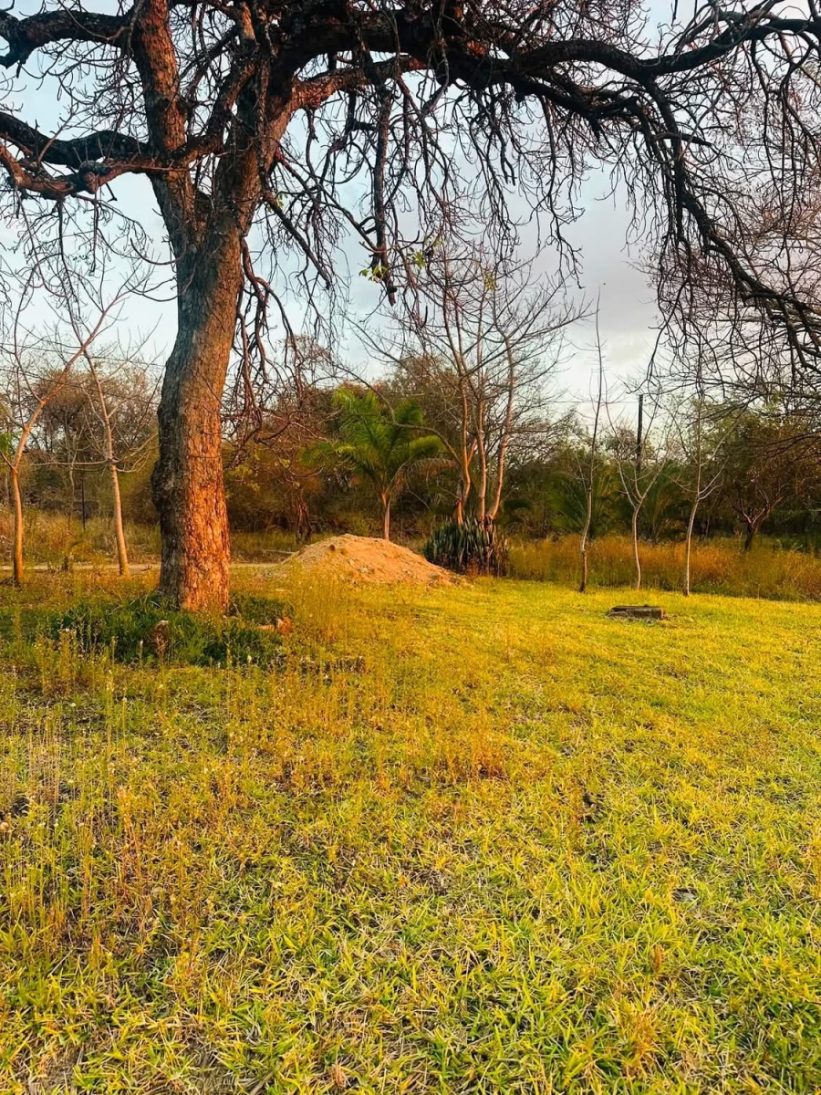 1 Bedroom Property for Sale in Budeli Limpopo