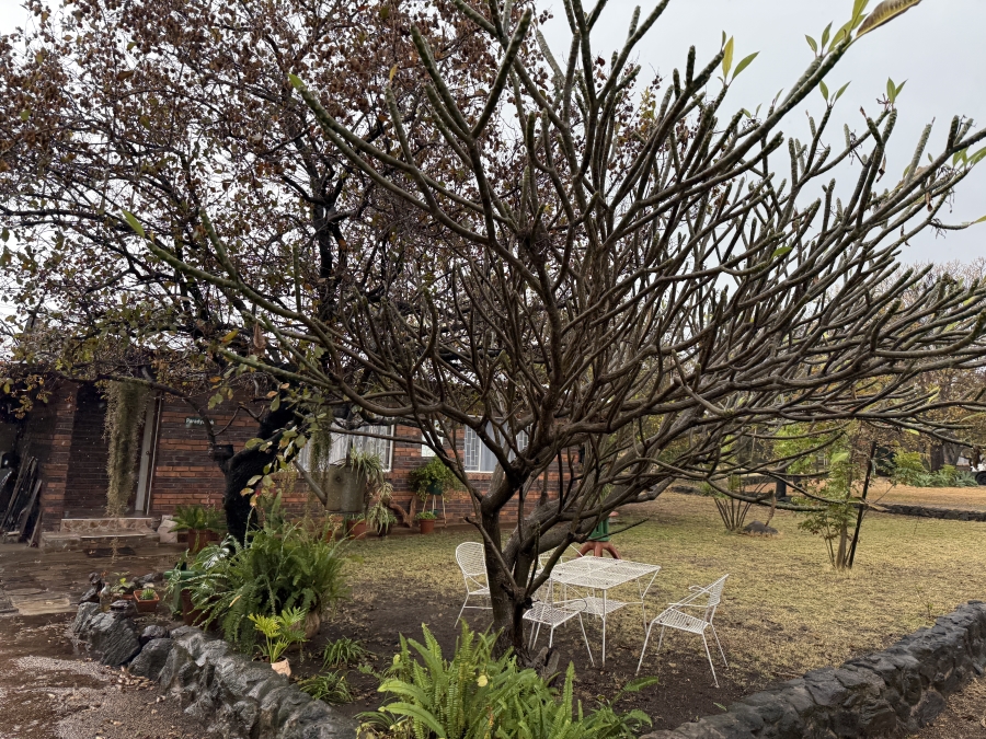 4 Bedroom Property for Sale in Mokopane Rural Limpopo