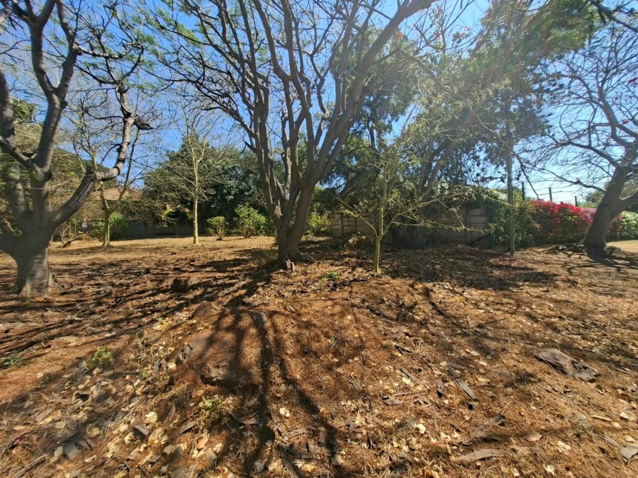0 Bedroom Property for Sale in Bela Bela Limpopo