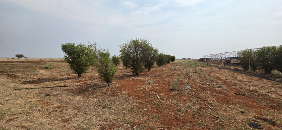 0 Bedroom Property for Sale in Bela Bela Limpopo