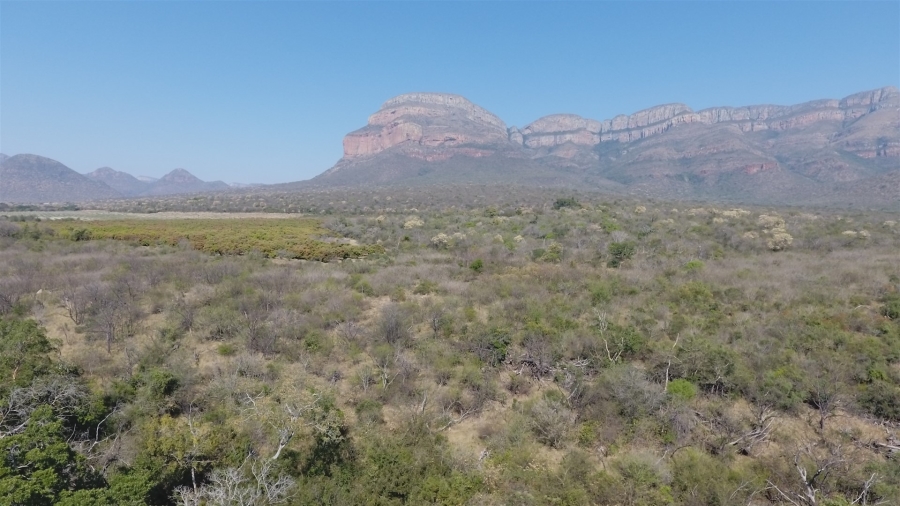 0 Bedroom Property for Sale in Hoedspruit Rural Limpopo