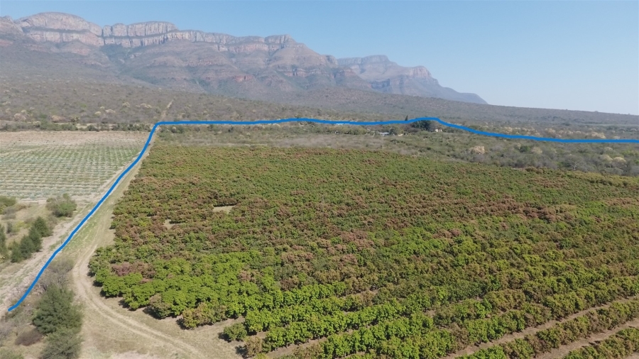 0 Bedroom Property for Sale in Hoedspruit Rural Limpopo