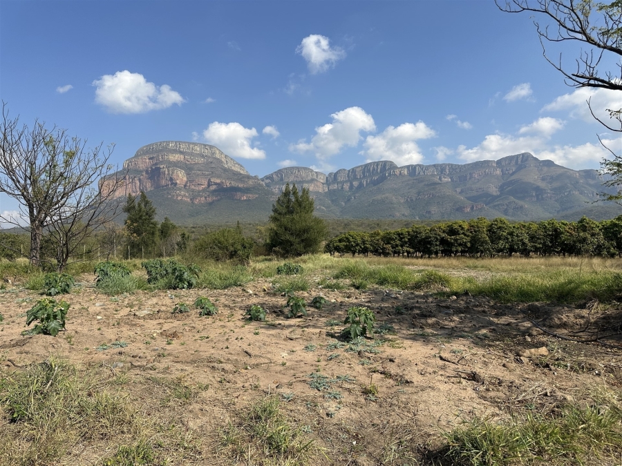 0 Bedroom Property for Sale in Hoedspruit Rural Limpopo